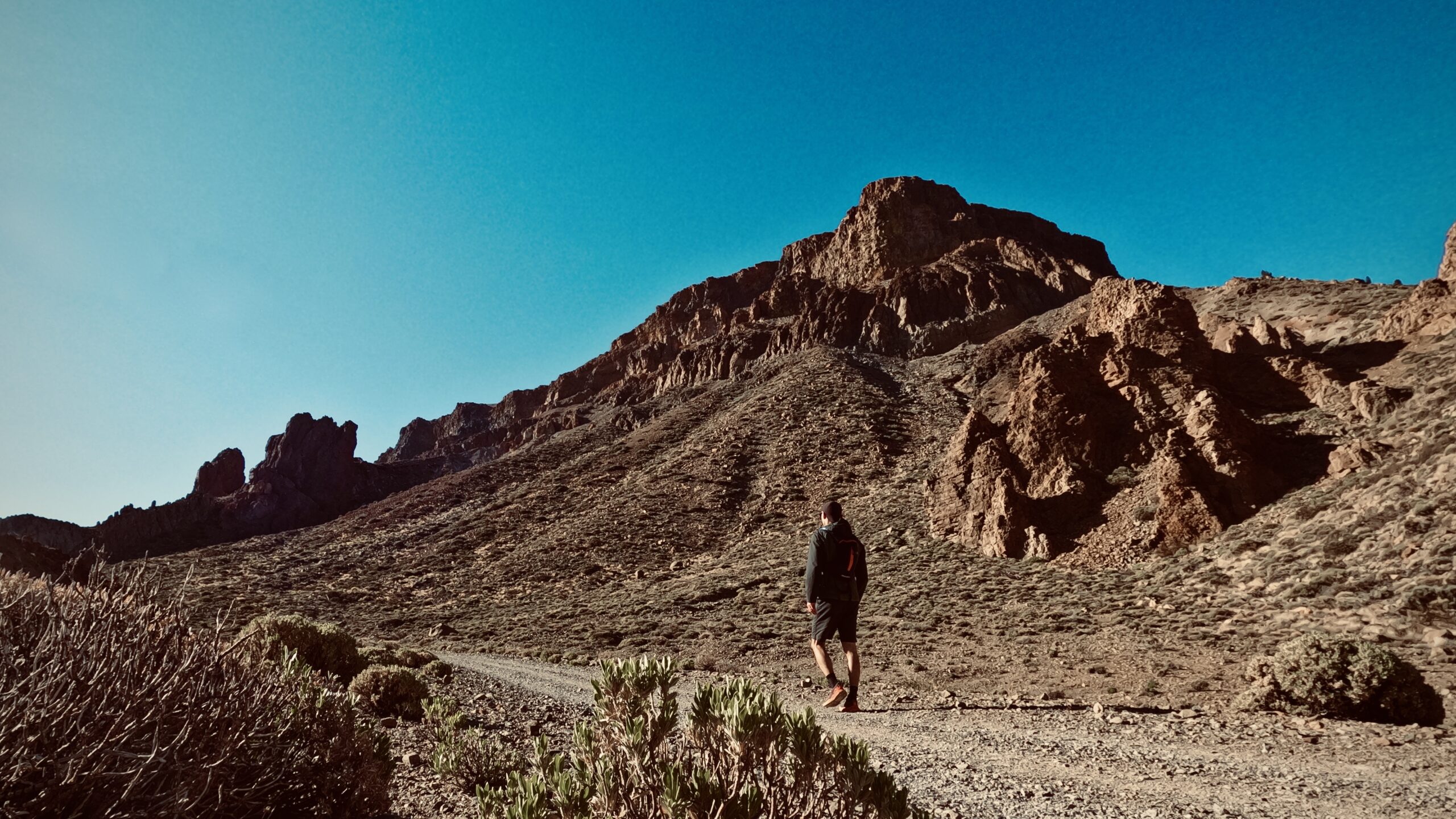 Out Of The Comfort Zone